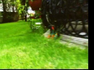 KEDİ (THE CAT) FRAGMAN