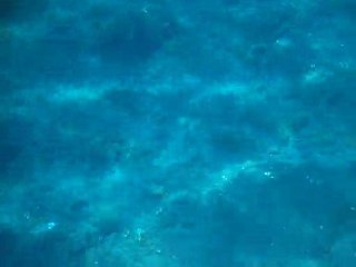 Anse Céron 12 06 2011 (6)