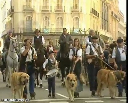 Fiestas de la Transhumancia en Madrid