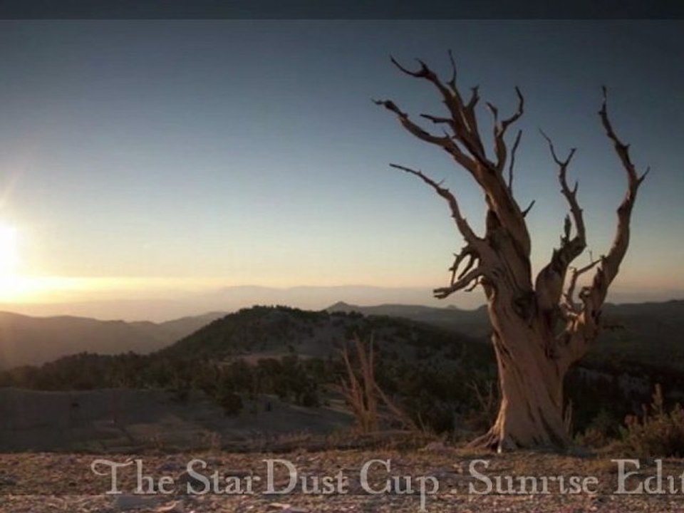 StarDust Cup 2011 - Sunrise Edition [Trailer]