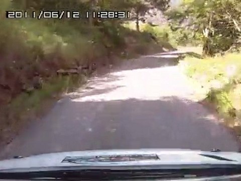 rallye nice jean berha 2011 reboa/simon es8