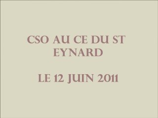 CSO au St Eynard le 12 juin 2011
