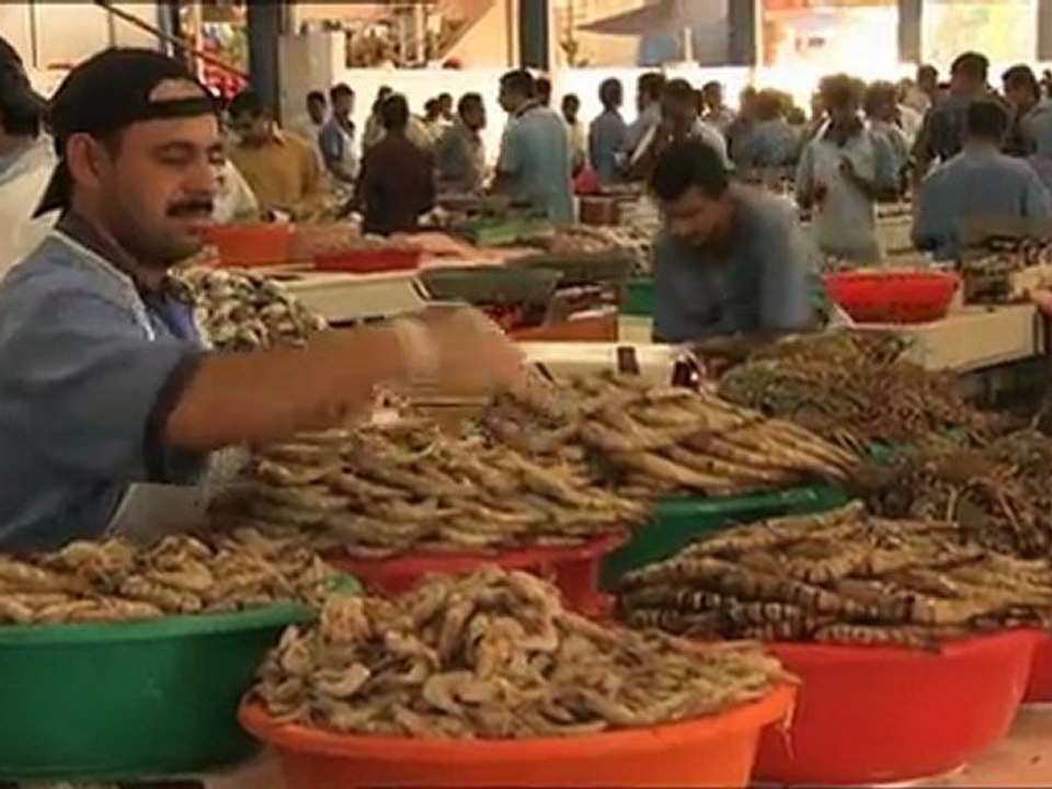 Les requins de Dubai
