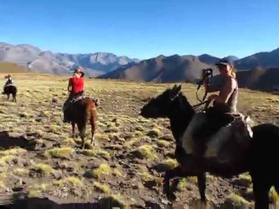 Convoyage du bétail dans les Andes