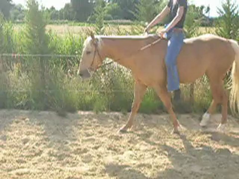 Monte a cru 12.06.11