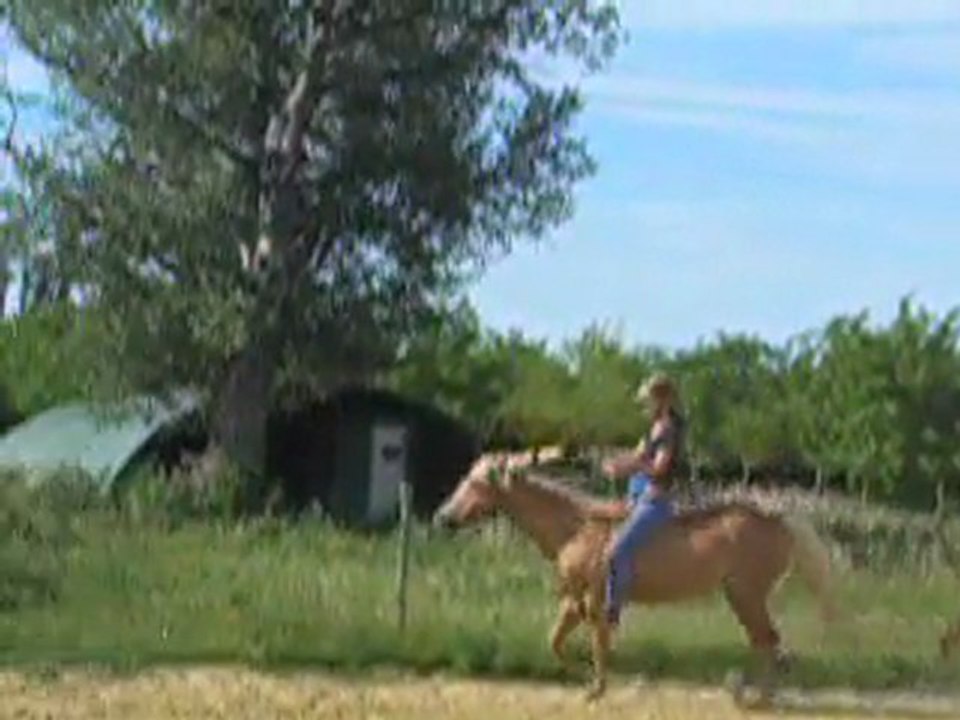 Trot a cru 12.06.11