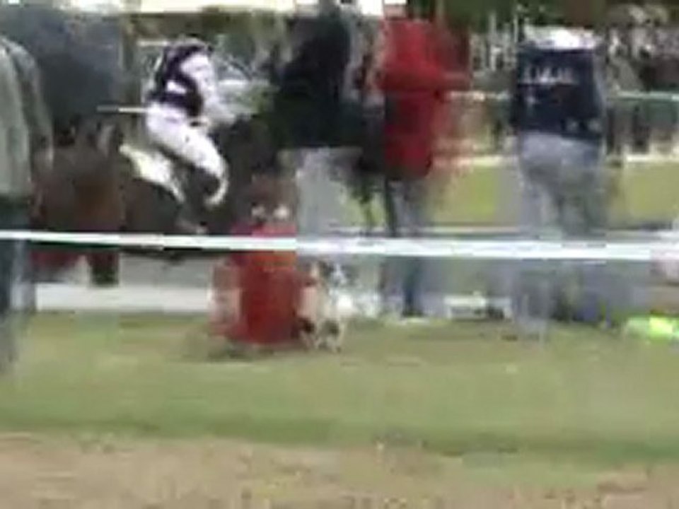 cross oberon fontenay 12