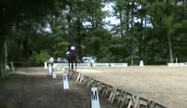 dressage oberon fontenay 12