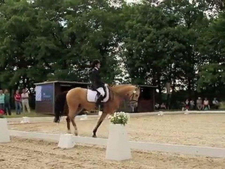 Leipzig Pferdesport - Hofturnier in Sachsen