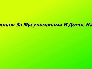 положение стукачей