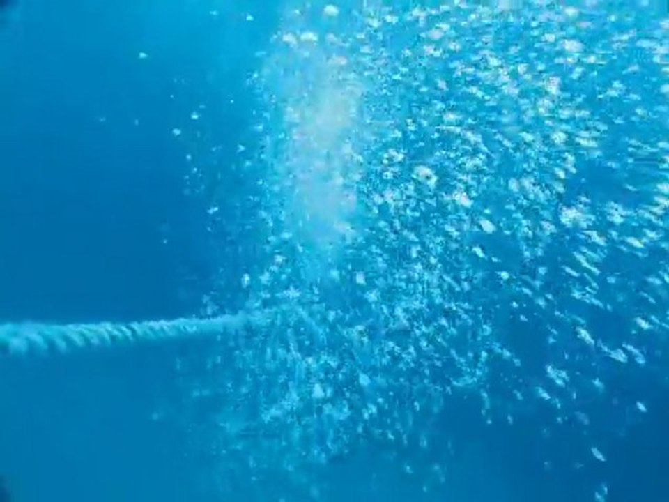 Descente sur l'épave du Donator à porquerolles le 11 juin 2011