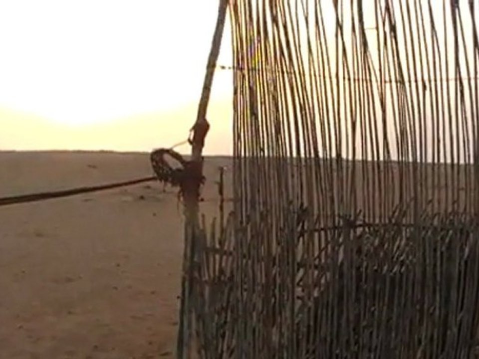 sonnenuntergang über dakhla