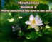 Mindfulness - Séance 5 - Pleine conscience des sons et des pensées