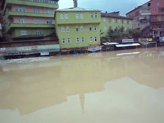 Ormanlida sel baskini