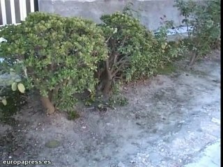 Hermano asesina a su hermana con una sartén en Murcia