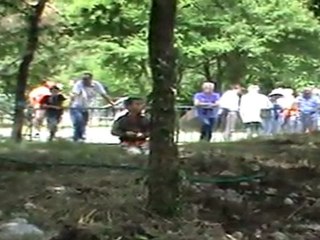 fête des chiens bar sur loup