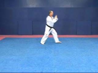 Taekwondo Pattern #1 Il Jang Yellow Belt