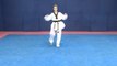 Taekwondo Pattern #4 Sah Jang Green/Blue Belt