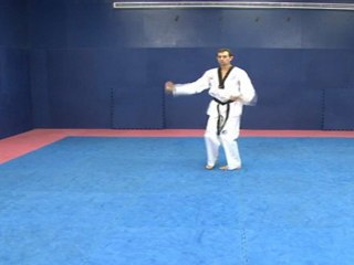 Taekwondo Pattern #7 Chil Jang Red Belt