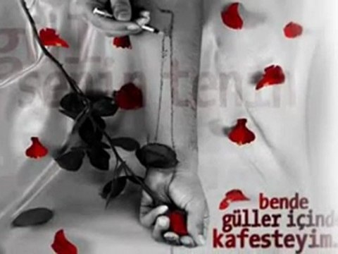 Naside Göktürk - Helal Olsun.. Simdi Mutlumusun ? / *=Özel Biri=*