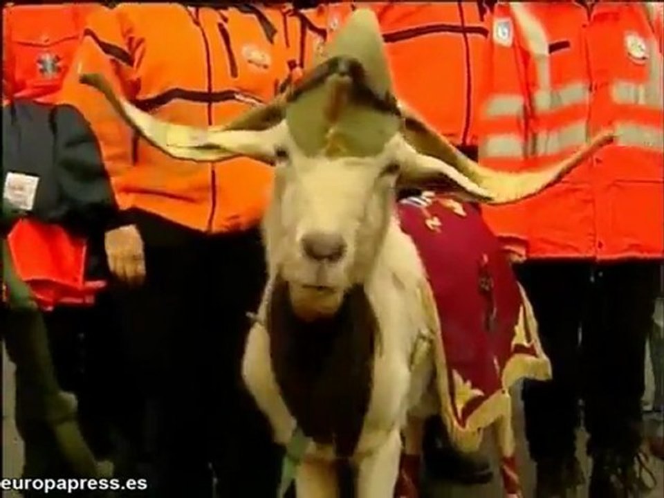 Comienza el desfile de las Fuerzas Armadas