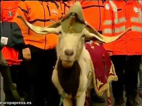 Comienza el desfile de las Fuerzas Armadas