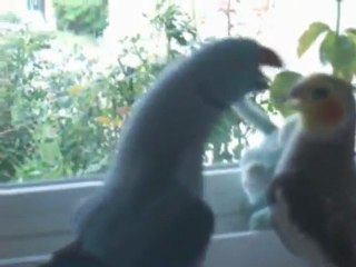 Hey Sweetie Gimme A Kiss