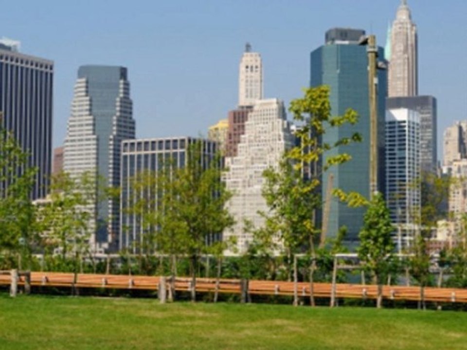 Brooklyn, NYC, New York City, Manhattan Tree Removal, Tree Pruning and Tree Trimming Services-Evergreen Tree & Shrub Inc.