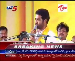 Jr. NTR Surprises Naidu at Mahanadu