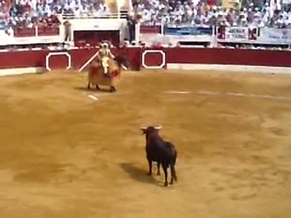 PALHA2