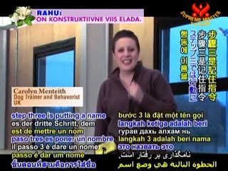 Dog Training Made Easy with Carolyn Menteith – P3/3