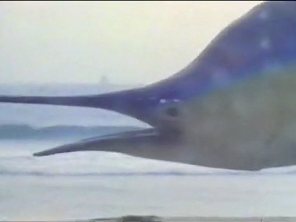 Psychic TV - Good Vibrations