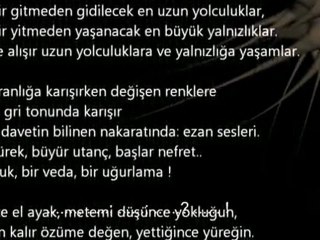 Bitmeyen Şiir / Bilgin Subaşı