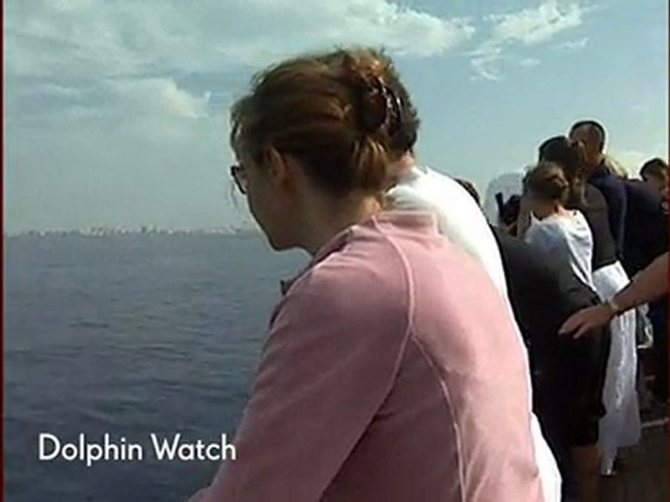 Gibraltar Dolphin Watch Excursion – Cunard Luxury ...