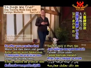 Dog Training Made Easy with Carolyn Menteith – P2/3