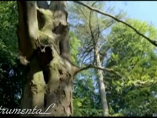 Gidemem (Çok Güzel Bir EnstrumentaL)