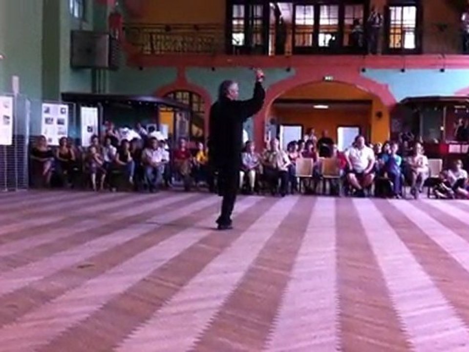 Fête régionale des arts martiaux et énergétiques chinois 2011