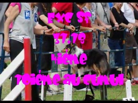 20110612 championnat de france cibeins excel little blue de la combe berail