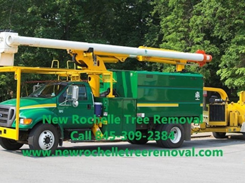 New Rochelle Tree Removal Video Commercial