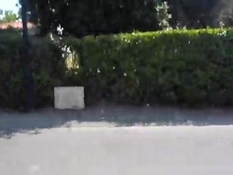 Juin 2011 - Noirmoutier, balade à vélo