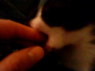 Michouel piti se fait les dents