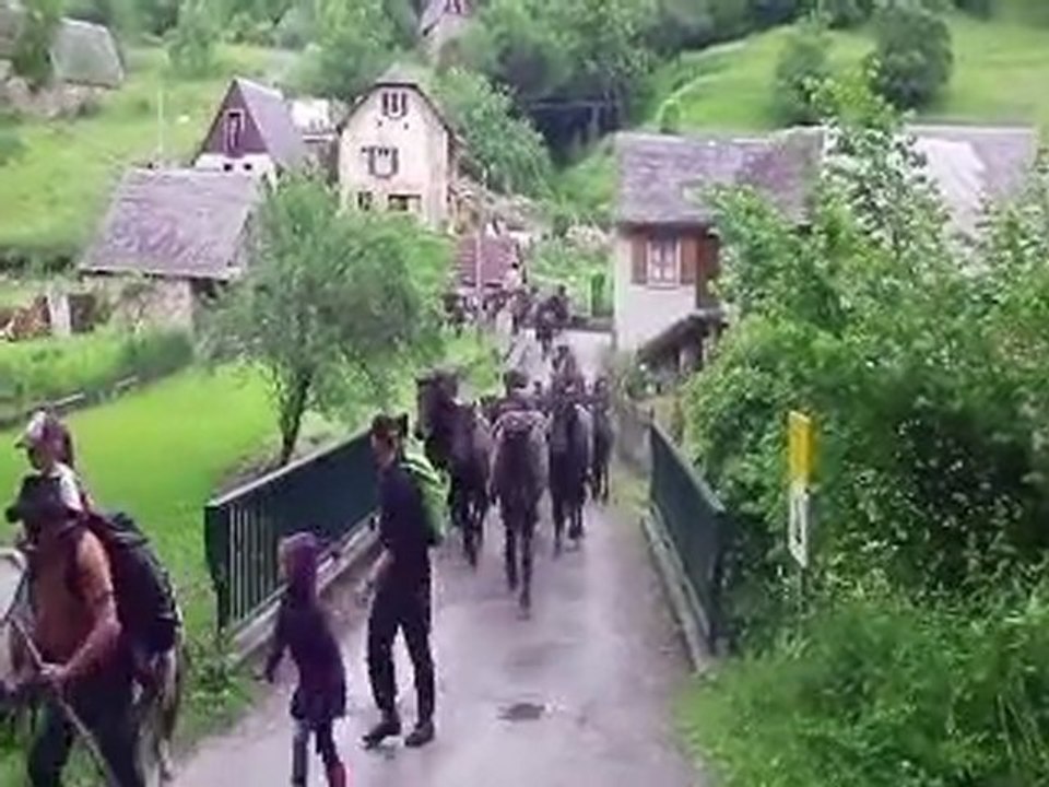 Transhumance en Couserans ... Chevaux de ST.Lizier au cirque de Campuls Juin 2011.