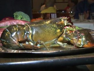 Seulement 10 ans, et déjà critique culinaire