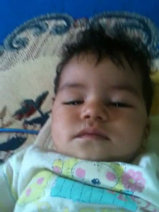 bebe dul 2011
