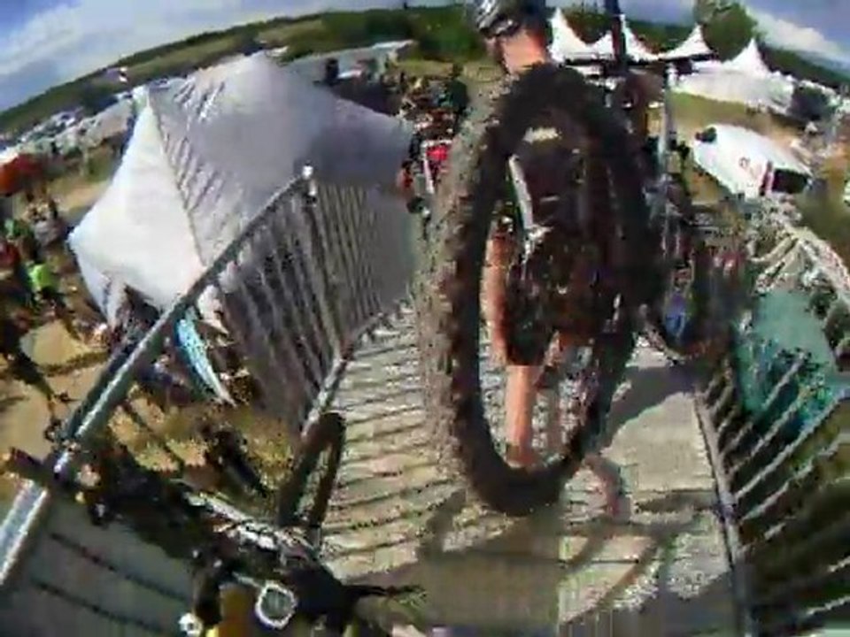 crapauds 2011