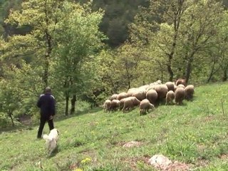 Ghost towns litter Serb countryside
