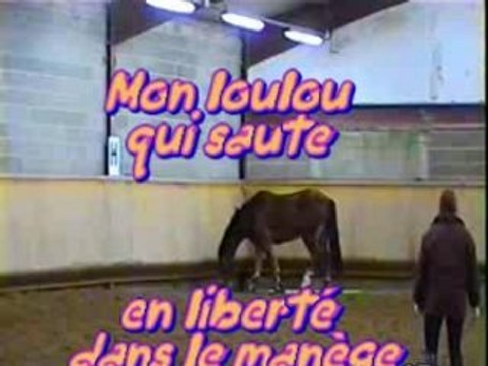 saut en liberté 2