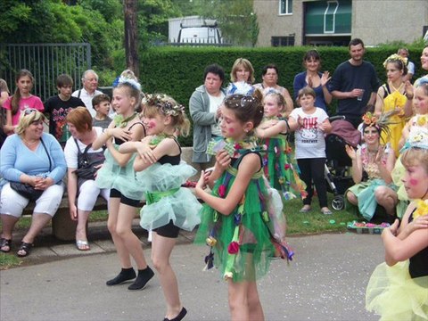 diaporama photos chapons 2011