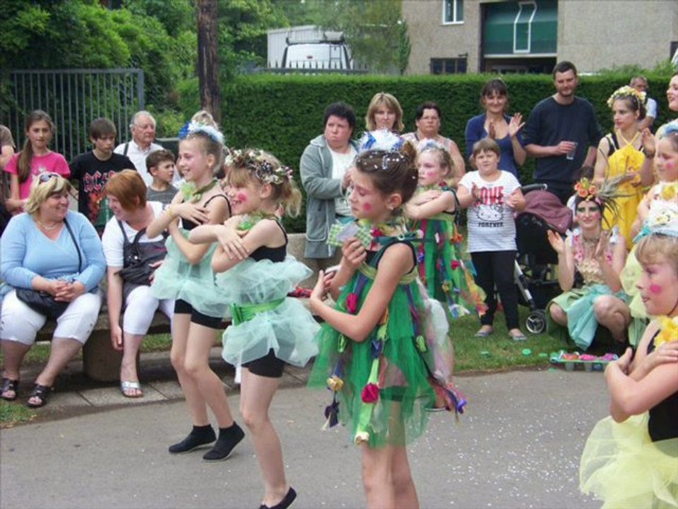 diaporama photos chapons 2011