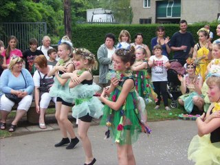 diaporama photos chapons 2011